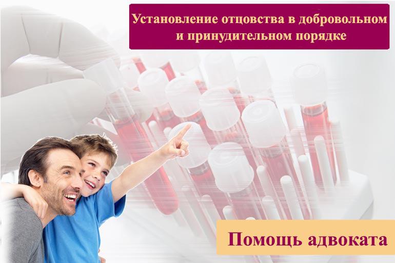 Установление отцовства в добровольном и принудительном порядке